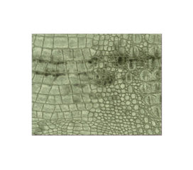 Osborne & Little<br>Tissu Limpopo